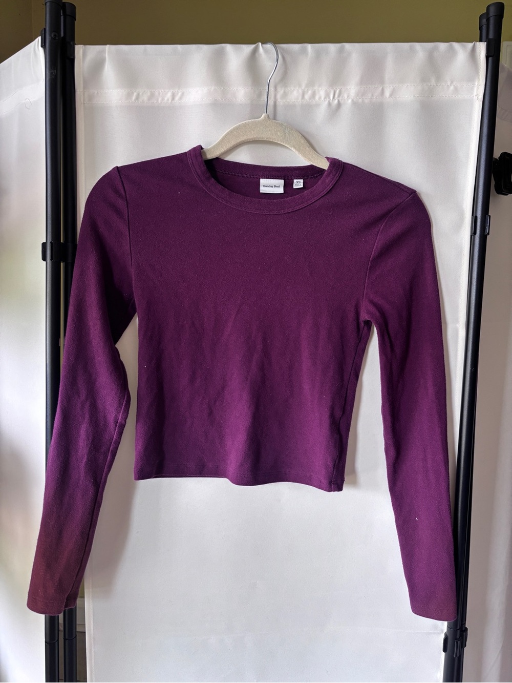 Aritzia Women's Plum Long-Sleeve Crewneck Top